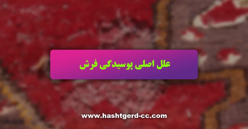 علل اصلی پوسیدگی فرش
