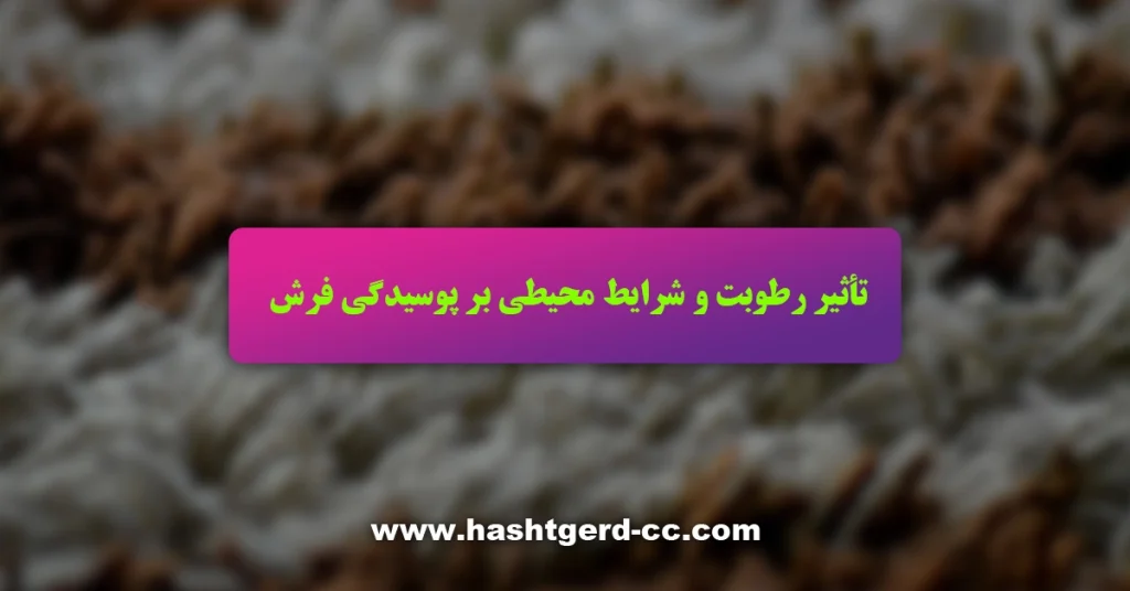 تأثیر رطوبت و شرایط محیطی بر پوسیدگی فرش